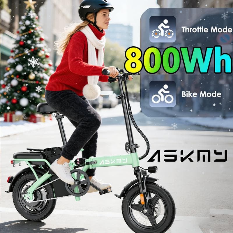 Foldable Electric Bike